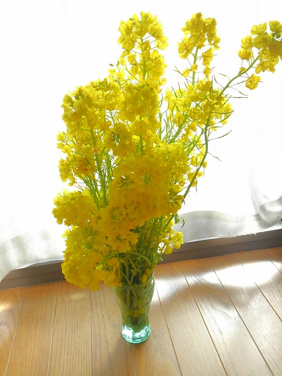 菜の花花瓶