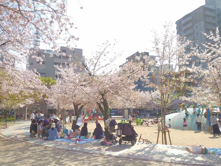 江坂公園桜