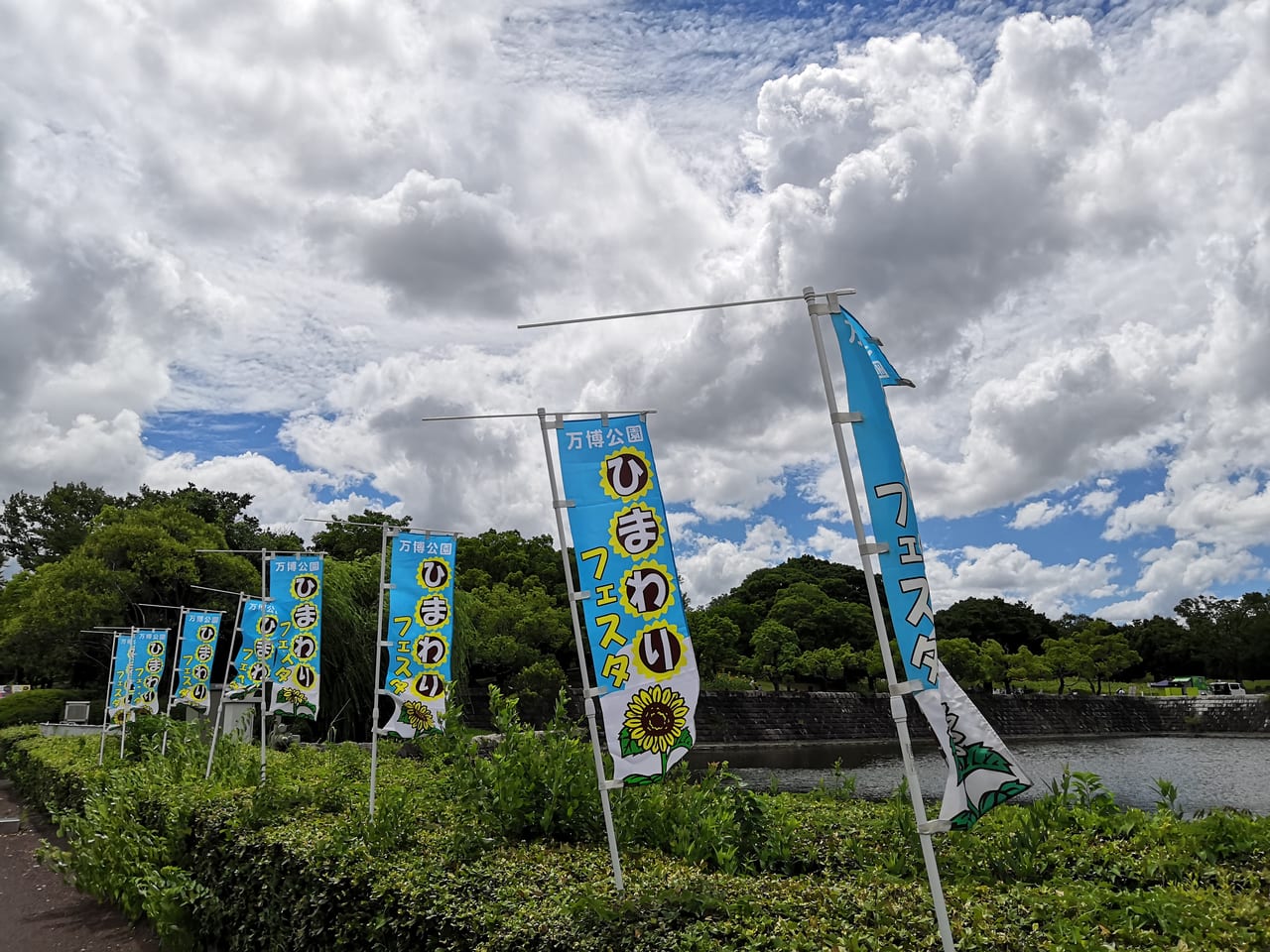 吹田市 万博記念公園の ひまわりフェスタ も間もなく終了 ひまわりの元気をもらいたい 号外net 吹田