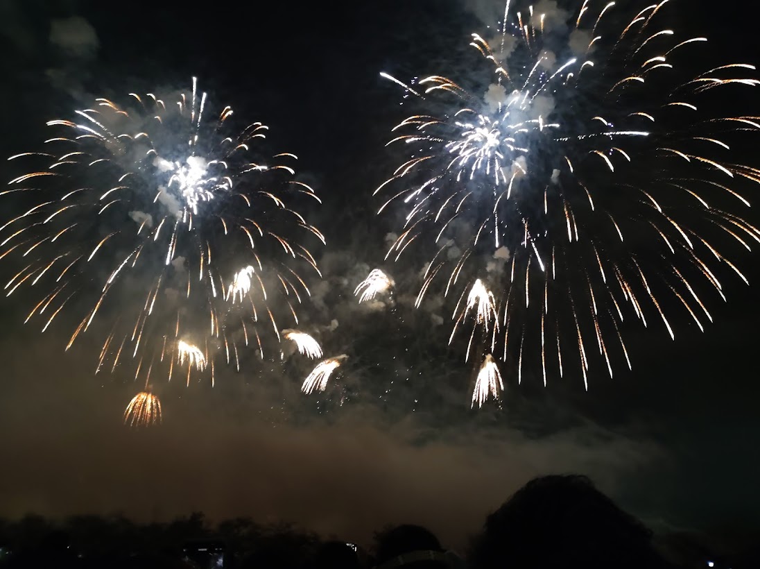 吹田市 今夜 11 26 万博記念公園の夜空に花火のアートが 音楽との完璧なシンクロに会場からも歓声があがりました 号外net 吹田