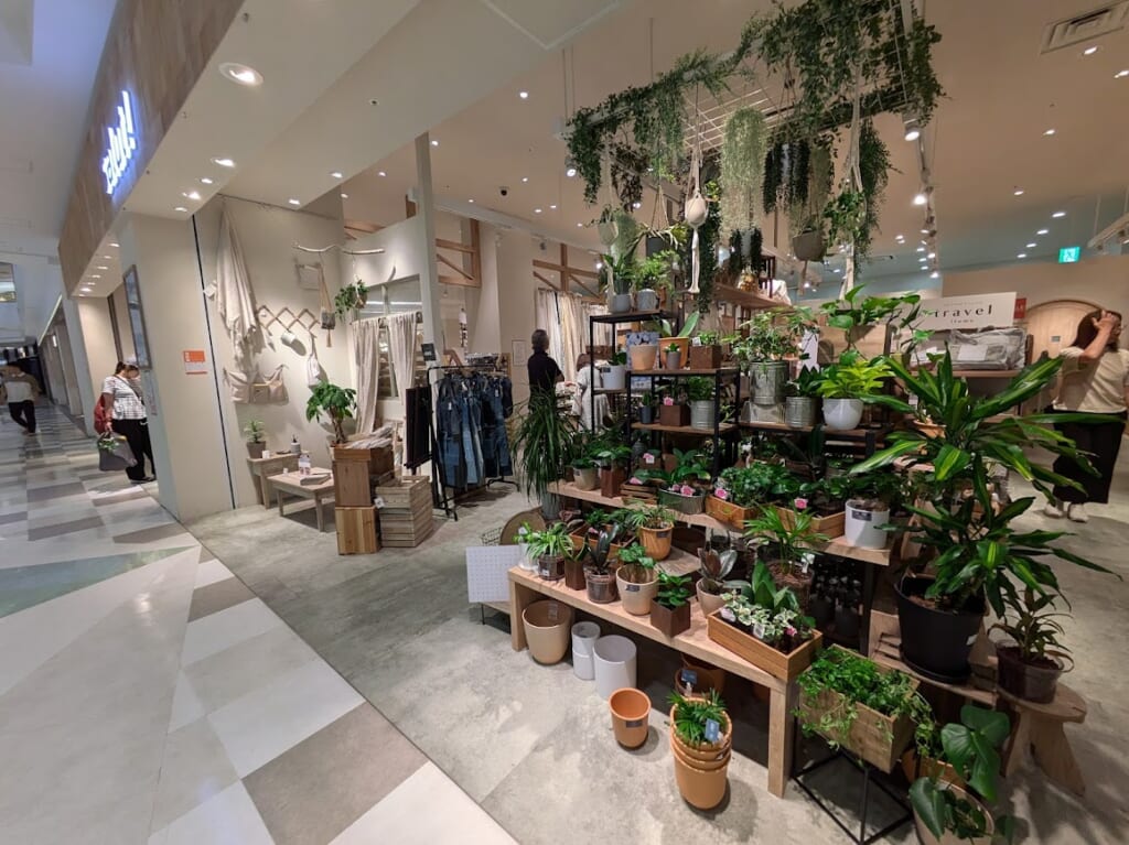 【吹田市】ららぽーとエキスポシティ「salut!」が閉店へ。素敵なグリーンやおうち雑貨が見ていて楽しいお店。 | 号外NET 吹田